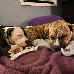 Meet your Posher, Keri